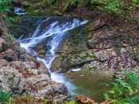 Pilze auf bemoostem Baumstumpf vor Kaskade - Talgraben
